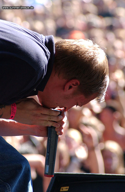 Bild eines Mitglieds der Band Farmer Boys beim Live Auftritt auf dem Summer Breeze 2003.